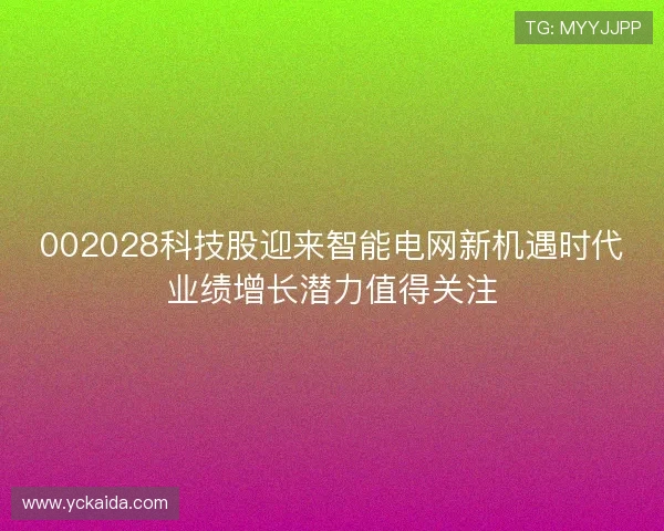 002028科技股迎来智能电网新机遇时代业绩增长潜力值得关注